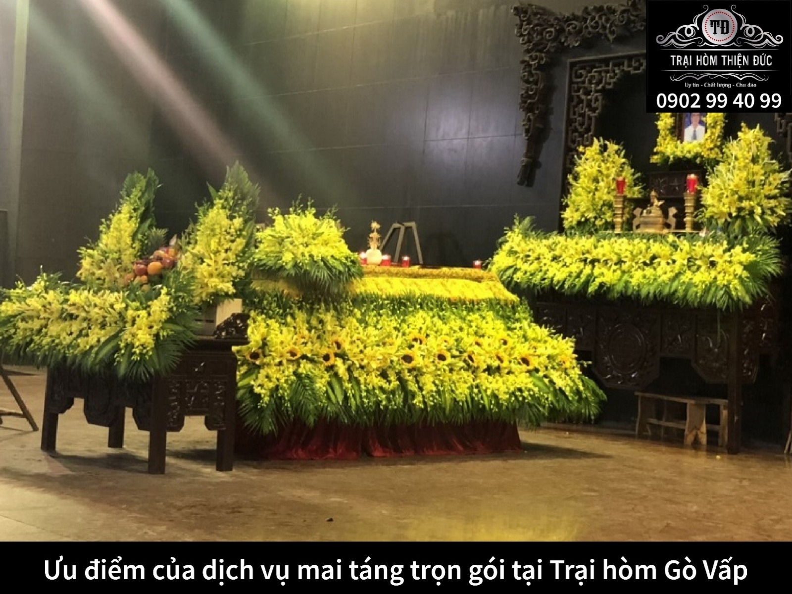 Tìm kiếm trại hòm giá tốt nhất tại Gò Vấp